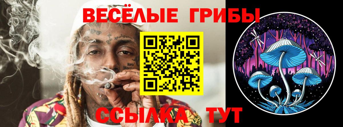 Галлюциногенные грибы прущие грибы Саранск